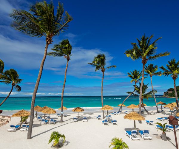 Caribbean Beach Guide