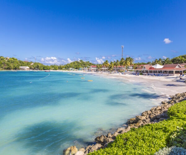 Pineapple Beach Offer